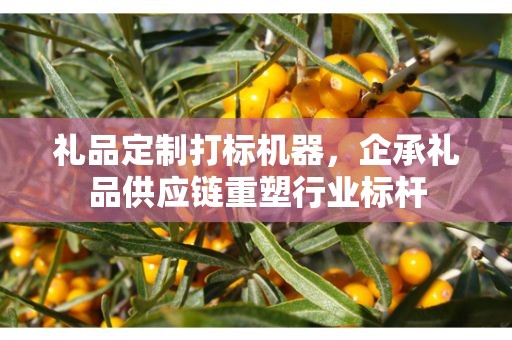 礼品定制打标机器，企承礼品供应链重塑行业标杆
