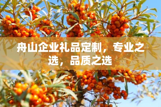 舟山企业礼品定制，专业之选，品质之选