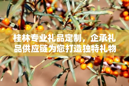 桂林专业礼品定制，企承礼品供应链为您打造独特礼物