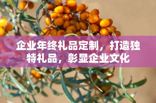 企业年终礼品定制，打造独特礼品，彰显企业文化