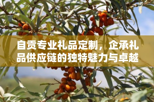 自贡专业礼品定制，企承礼品供应链的独特魅力与卓越服务