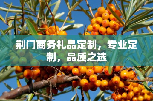 荆门商务礼品定制，专业定制，品质之选
