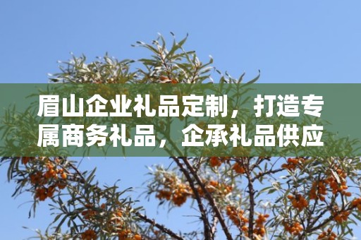 眉山企业礼品定制，打造专属商务礼品，企承礼品供应链助力企业品牌建设