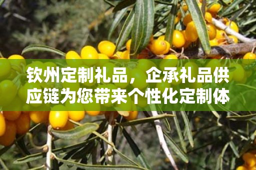 钦州定制礼品，企承礼品供应链为您带来个性化定制体验