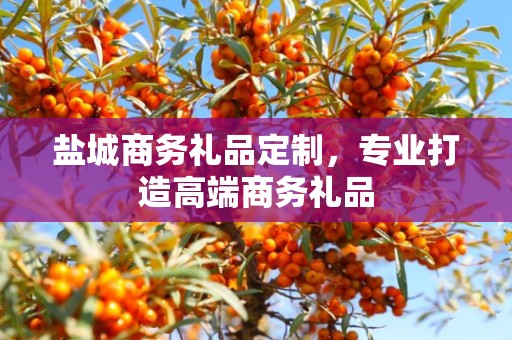 盐城商务礼品定制，专业打造高端商务礼品
