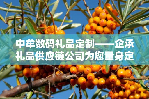 中牟数码礼品定制——企承礼品供应链公司为您量身定制的独特礼品