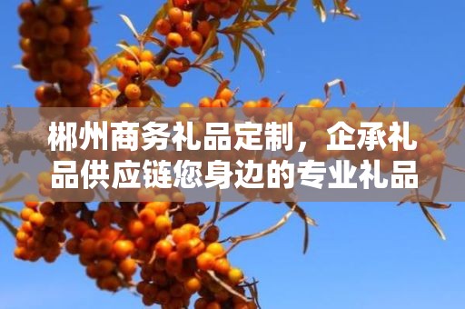 郴州商务礼品定制，企承礼品供应链您身边的专业礼品定制公司