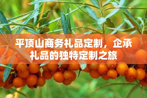 平顶山商务礼品定制，企承礼品的独特定制之旅